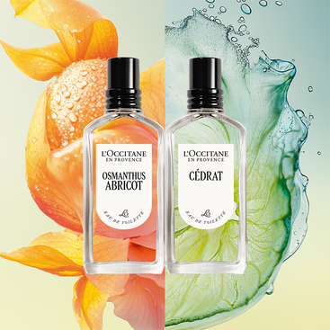 Osmanthus Abricot Eau de Toilette | L'Occitane New Zealand